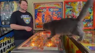 Evel Knievel (Bally 1977) Pinball Restoration Project - Part 4