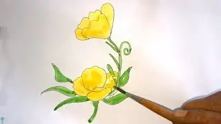 Tulipa humilis | Beautiful flower | Flower Clip art