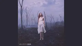 feel the wind