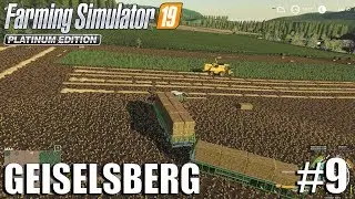 Too Much Straw | Geiselsberg Timelapse #9 | FS19 Timelapse | Farming Simulator 2019