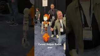 CES 2024 - Cutest Helper Robot Rver #robits  #ces2024