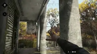 Hunt  Showdown Was in fact perhaps gaming