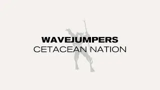 Wavejumpers - Cetacean Nation
