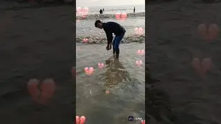 llllllll