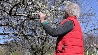 Le Potager du Paresseux : c'est quand le printemps ?