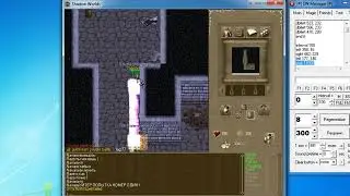 Босс The Hater - попытка №1 - игра Shadow Worlds - Old MMORPG RPG Online Game (сервер - swgame.info)