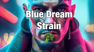 Blue Dream Strain #ai #smoke #guru #strain #weednews #cannabiscommunity420 #education #broccoli