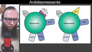 07 30 - (Trazodone) and (Nefazodone) | Serotonin antagonist/reuptake inhibitors