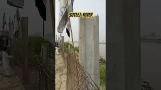 Sutlej River #shorts