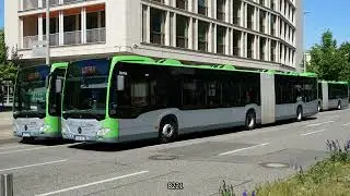 Hannover (Bus; &Uuml;STRA Hannoversche Verkehrsbetriebe (articulated)) (20250512) (Slide show)