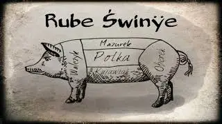 Rube Świnie - dance mix 2018