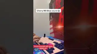 Cherry MX Blue and Cherry MX silent Red 🔵🔴