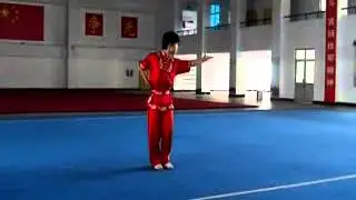 Master Tseng wushu demo
