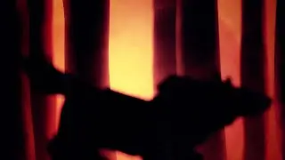 Some Animated Work By Sean Pecknold
