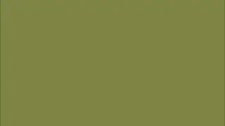 10 hours + of Pure Green RGB 128 128 064 screen in HD! ★44