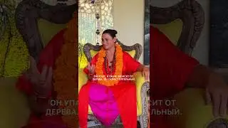 О важности вайрагьи и абхьясы - отречения и регулярной практики #силасознания