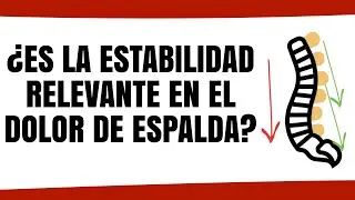 ¿ES LA ESTABILIDAD RELEVANTE EN EL DOLOR DE ESPALDA? #lumbalgia #backpain | Physiociencia