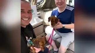 Caravan collection and Dachshunds first trip at Glebe Bicester Oxfordshire