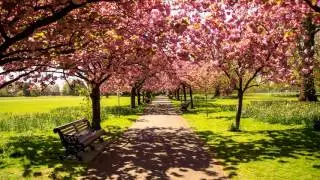 SUMMER SUN BY ROBERT LOUIS STEVENSON
