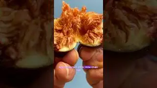 Without wasps, fig trees wouldn&rsquo;t be able to produce fruit.🐝🌱