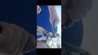 #funny