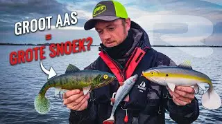 Groot kunstaas = grote snoek? - Snoek vissen met Koen Verheyen | Roofvissen