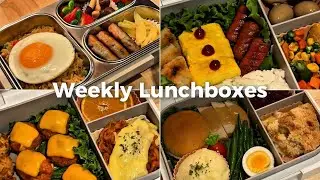 Weekly Lunchbox Compilation #asmr #jollychef #bento #bentgo 