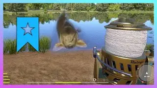 Common Carp Super Trophy Spot - Amber Lake Russian Fishing 4 RF4