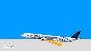 AHOM Flight 119