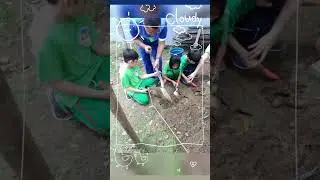 🎶Magtanim ay 'di biro🎶 😛 #plantingveggies #nutritionmonth #mathinaction #pattern #memoryreel #tbt