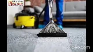 Expert Stain Removal in Melbourne | Expert Stain Removal Melbourne | Melbourne Expert Stain Removal|