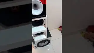 testando m&eacute;dio magno rex 550 10p