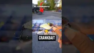 ЛУЧШИЕ приманки для ловли осеннего окуня!