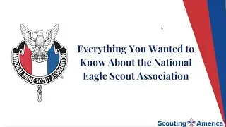 Everything You Wanted to Know About NESA - November 2024
