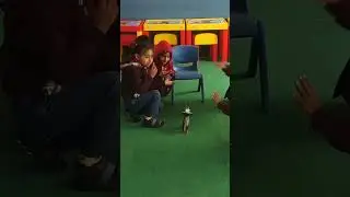 School ma baacho ka dance