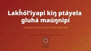 20 Years of Language Revitalization with LLC