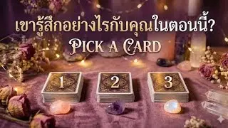 Pick a Card 💢How does he/she feel about you?💢