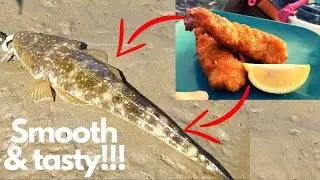 Big Flathead Catch and Cook South West Rocks. Macleay River Sand Flat Fishing
