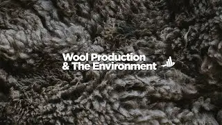 Faunalytics Explains: Pulling The Wool Back From Our Eyes