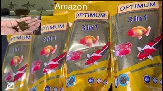 Optimum 3 in 1 all life stages premium fish food pellet  Amazon |promotes growth colour increase Imm