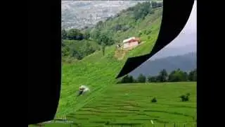 ترانه زیبای تالشی وطن ترا بمیرم - گریه ناز