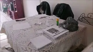 Otro icosaedro, sin alteración