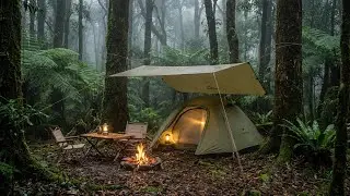 Tranquil Rainy Forest Night • Camping with a Warm Campfire