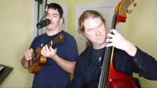 Beehive State - Ukulele Randy Newman