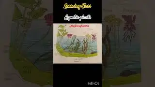 #aquatic plants☘️ #science #cbse #learning #ncert #underwater #plants #class #short #trending #viral