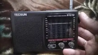 Tecsun r1012