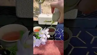 Cherry Blossom Camping & Tea Ceremony: Spring Serenity in Bloom [[BlossomCamp][SpringTeaExperience]]
