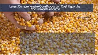 Corn Production Cost Analysis | Cost Breakdown & Key Factors