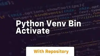 python venv bin activate