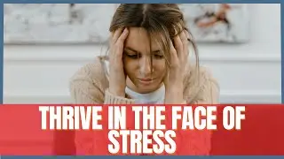 Stress Management Secrets: Build a Resilient Mindset